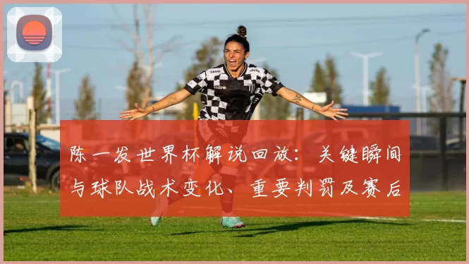 陈一发世界杯解说回放：关键瞬间与球队战术变化、重要判罚及赛后影响点