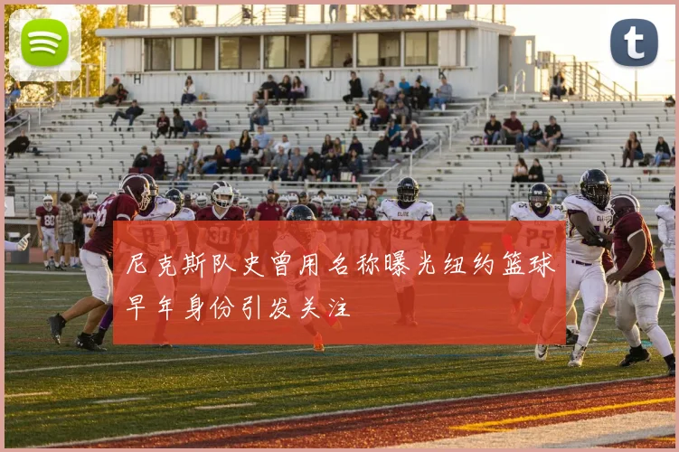 尼克斯队史曾用名称曝光纽约篮球早年身份引发关注