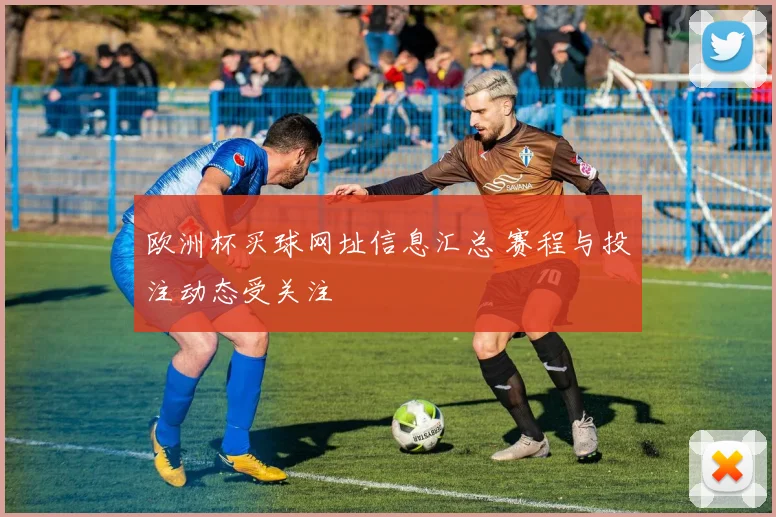 欧洲杯买球网址信息汇总 赛程与投注动态受关注