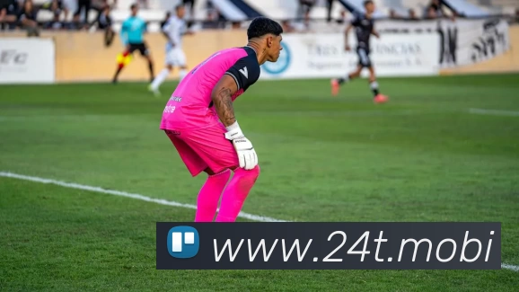 人人体育 - NBA无插件直播|足球直播|篮球直播 - 人人体育直播平台生态图